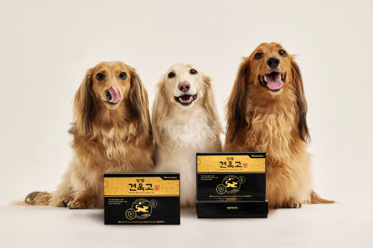 광동 견옥고 활. <광동제약 제공>